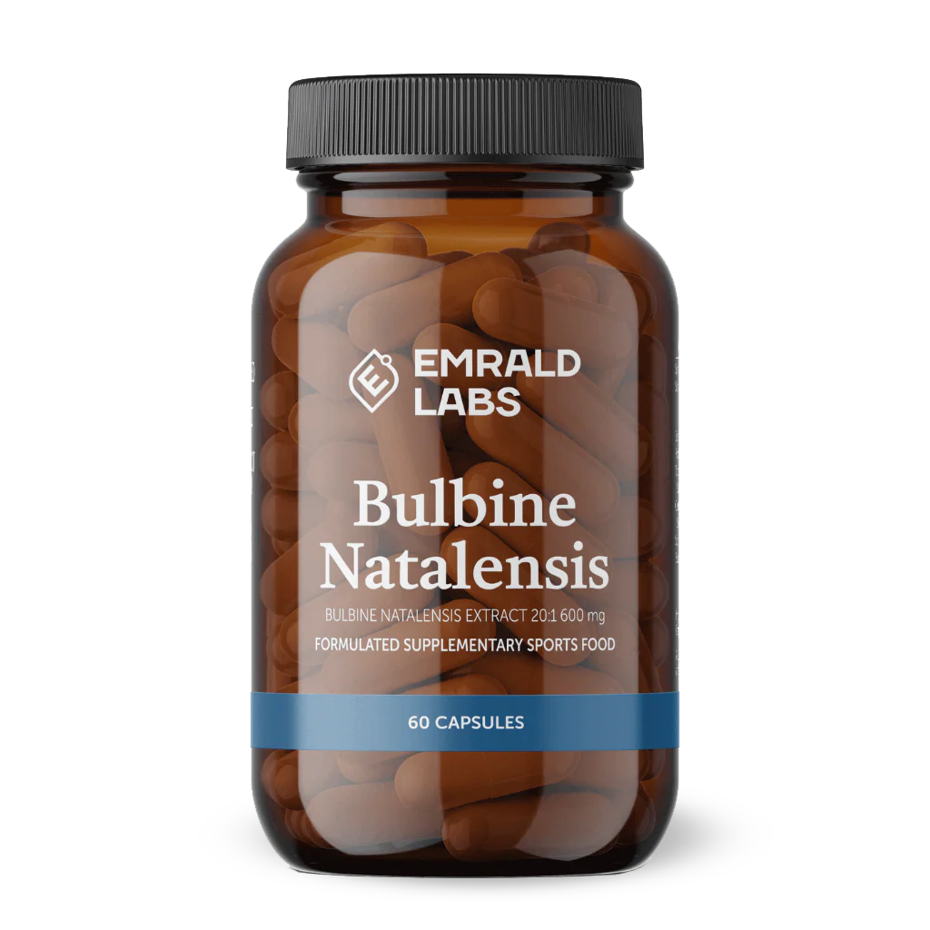 Bulbine Natalensis